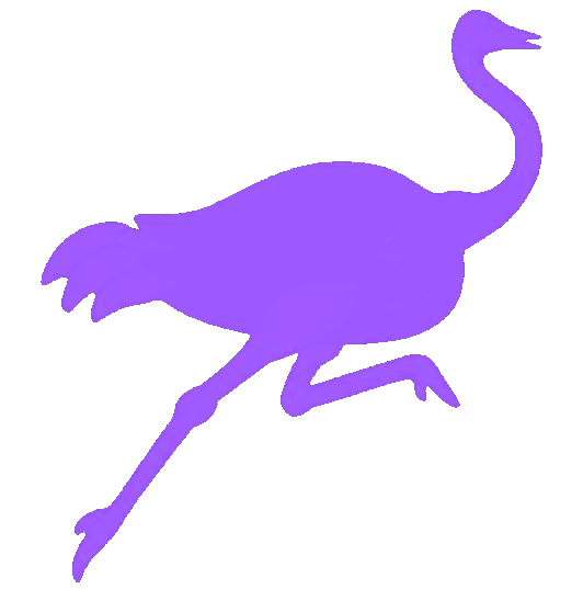 nostr